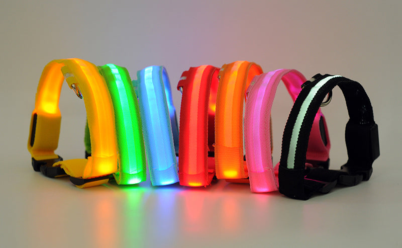 LED USB Rechargeable Light Up Dog Collar Luminous Stripe