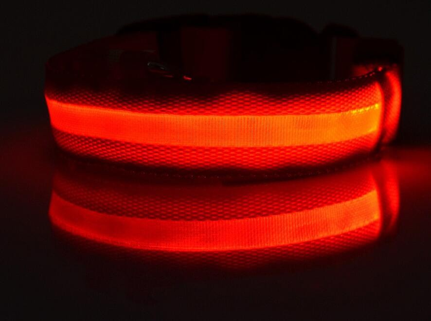 LED USB Rechargeable Light Up Dog Collar Luminous Stripe
